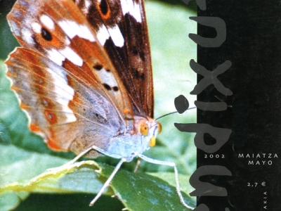 Nmero 21