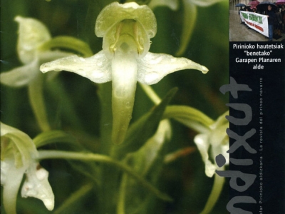 Nmero 106
Orquidea