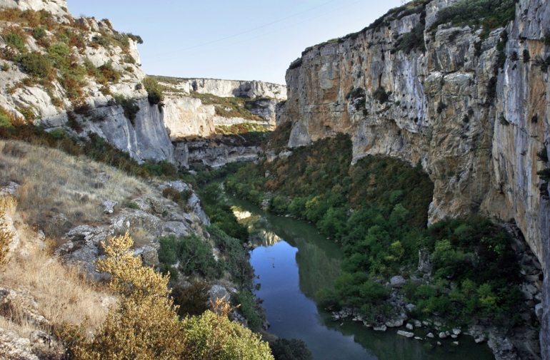 La foz de Lumbier celebrar la noche de los murcilagos