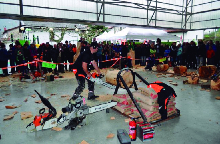 La tercera edicin de la Fiesta de la Madera se celebrar en Burgui el sbado 13 de octubre