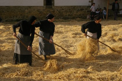 Nueva edicin de Orhipean en Ochagavia
