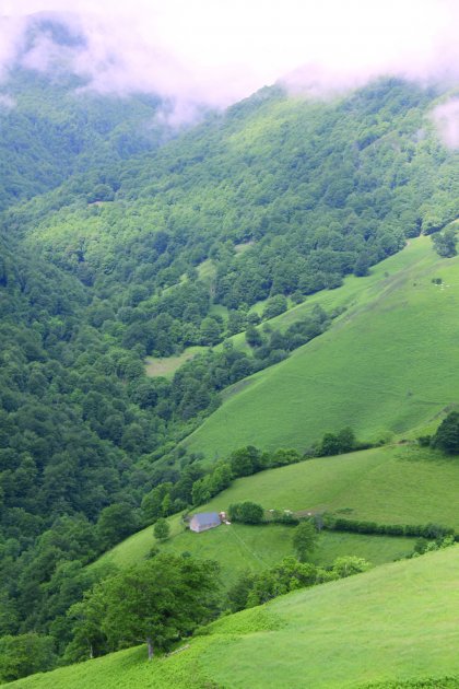 Autorizado un gasto de 1,97 millones para ejecutar veinte proyectos forestales y de ordenacin de mo
