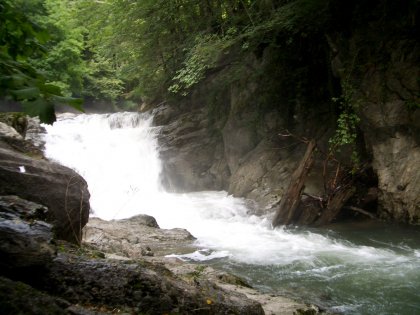 Nuevo sistema de pesca sostenible para la trucha comn en 2011