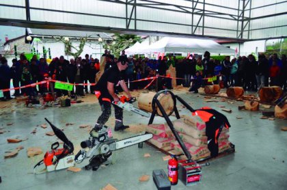 La tercera edicin de la Fiesta de la Madera se celebrar en Burgui el sbado 13 de octubre