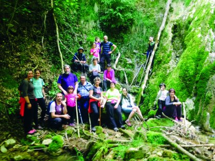 Oferta de actividades desde los CINs