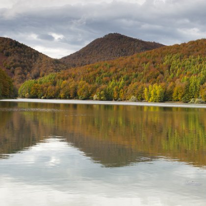 El parlamento aprueba iniciar los trmites de un parque natural en Irati-Salazar
